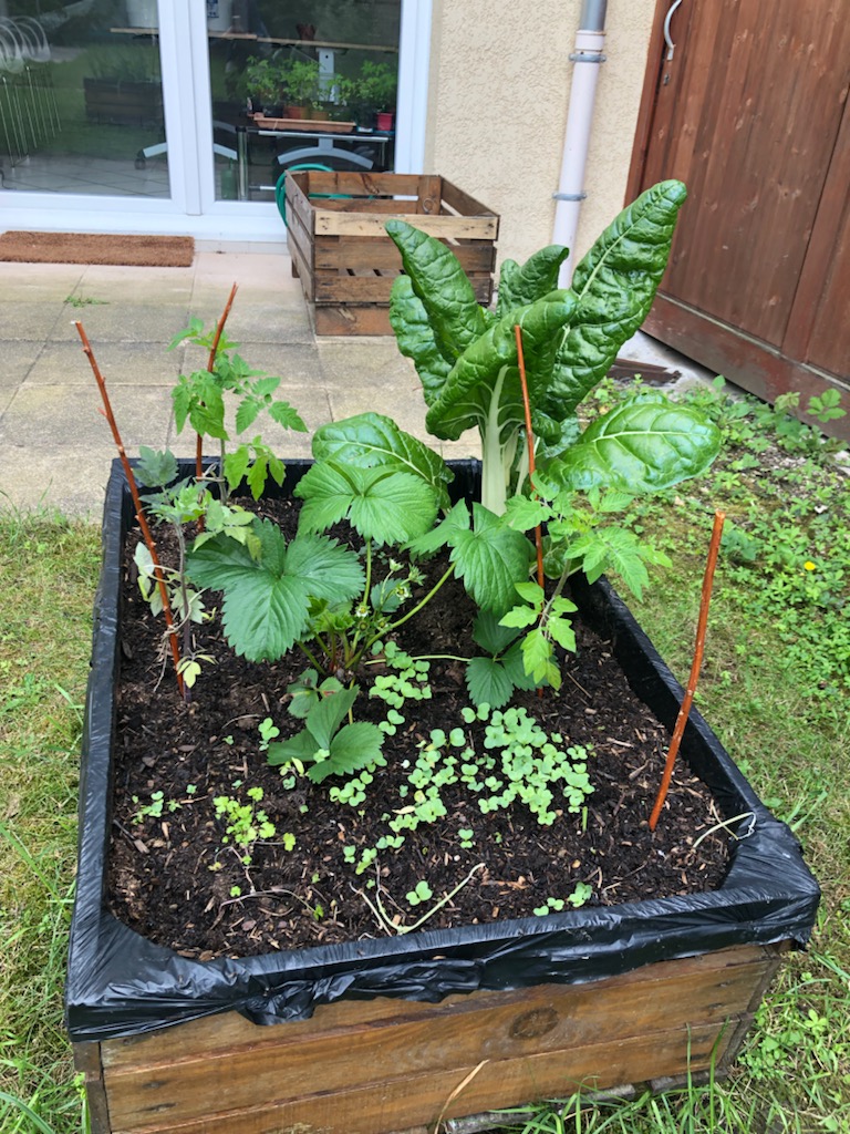 Création d’un atelier jardinage thérapeutique au CSAPA de Bourg-en